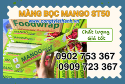Mua sỉ thùng 24 cuộn màng bọc thực phẩm Mango Wrap ST50