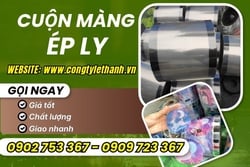 MÀNG ÉP LY CÓ NHỮNG LOẠI NÀO? GIÁ SỈ VÀ CÁCH CHỌN PHÙ HỢP