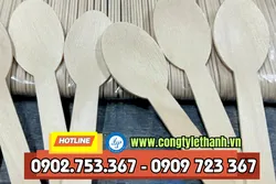 MUỖNG GỖ, THÌA GỖ DÙNG 1 LẦN GIÁ SỈ