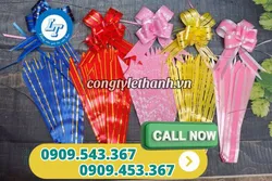 NƠ RÚT CỘT GIỎ QUÀ TẾT GIÁ SỈ