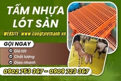 TẤM NHỰA LÓT SÀN CHĂN NUÔI GIÁ SỈ ĐỦ KÍCH CỠ
