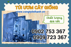 KHO SỈ TÚI ƯƠM CÂY GIỐNG GIÁ RẺ CHO NHÀ VƯỜN