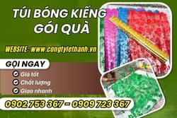 TÚI BÓNG KIẾNG HOA VĂN GÓI QUÀ TẾT NHIỀU SIZE GIÁ SỈ