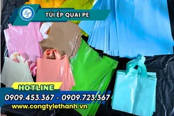 ĐỊA CHỈ BÁN TÚI ÉP QUAI PE GIÁ RẺ SỐ 1 HCM