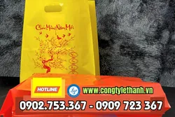 ĐẠI LÝ TÚI HỘT XOÀI IN SẴN CHỮ CHÚC MỪNG NĂM MỚI GIÁ SỈ