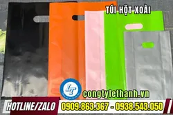 BÁN SỈ TÚI HỘT XOÀI, TÚI PE GIÁ RẺ CHO NHÀ PHÂN PHỐI