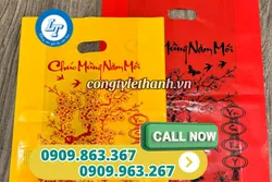 CHUYÊN CUNG CẤP TÚI ĐỰNG LỊCH TẾT GIÁ SỈ