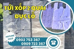 CƠ SỞ BÁN TÚI XỐP 2 QUAI ĐỤC LỖ GIÁ SỈ UY TÍN