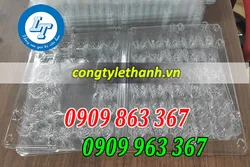 CỬA HÀNG PHÂN PHỐI VỈ ĐỰNG 30 QUẢ TRỨNG CÚT GIÁ RẺ
