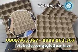 BÁN SỈ VỈ TRỨNG GIẤY MALAYSIA GIÁ RẺ, GIAO TẬN NƠI
