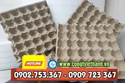 ĐẶT HÀNG VỈ TRỨNG GIẤY SỐ LƯỢNG LỚN, GIÁ SỈ, GIAO NHANH