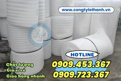 NHÀ SẢN XUẤT MÚT XỐP PE FOAM GIÁ SỈ RẺ