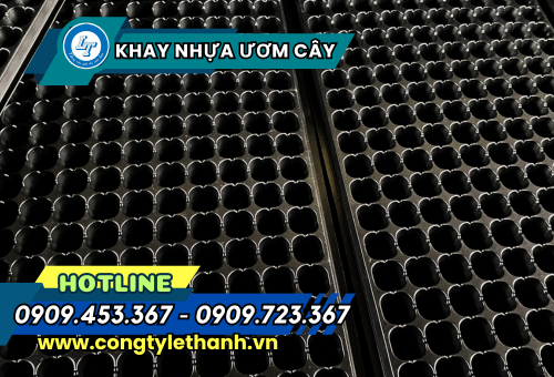 NHÀ PHÂN PHỐI SỈ KHAY NHỰA ƯƠM HẠT GIỐNG GIÁ RẺ