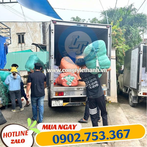 túi hột xoài hd giá sỉ túi hột xoài hd giá sỉ