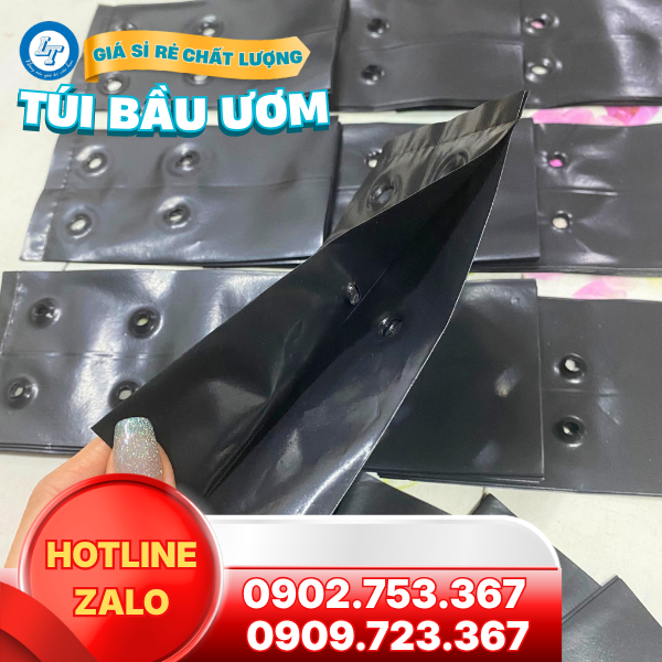 Kho sỉ túi ươm cây giống giá rẻ cho nhà vườn Kho sỉ túi ươm cây giống giá rẻ cho nhà vườn