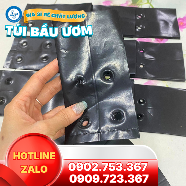 Kho sỉ túi ươm cây giống giá rẻ cho nhà vườn Kho sỉ túi ươm cây giống giá rẻ cho nhà vườn