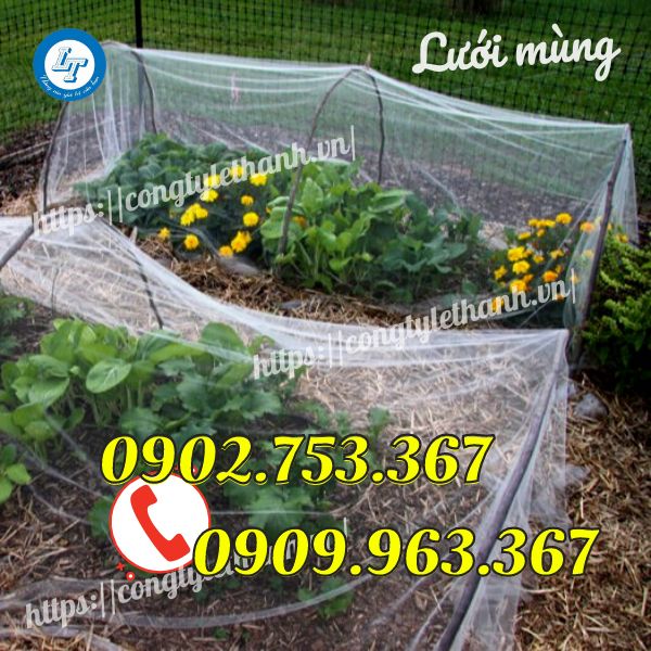 LƯỚI MÙNG NÔNG NGHIỆP, CHE CHẮN CÔN TRÙNG GIÁ SỈ GIÁ RẺ LƯỚI MÙNG NÔNG NGHIỆP, CHE CHẮN CÔN TRÙNG GIÁ SỈ GIÁ RẺ