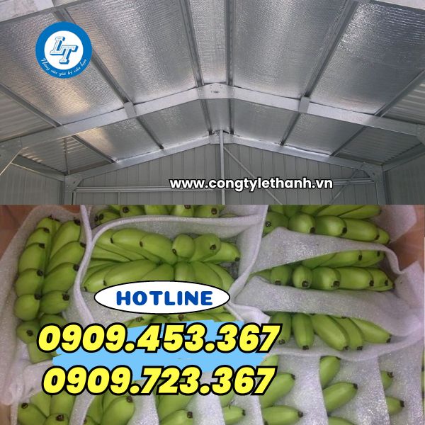 nhà sản xuất mút xốp pe foam giá sỉ rẻ ứng dụng mút xốp pe foam