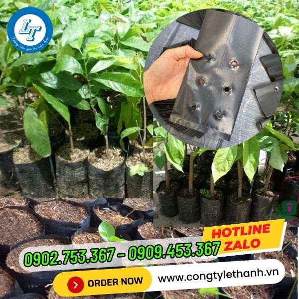 CHUYÊN SỈ TÚI BẦU ƯƠM CÂY GIỐNG NÔNG NGHIỆP GIÁ RẺ ứng dụng túi ươm cây
