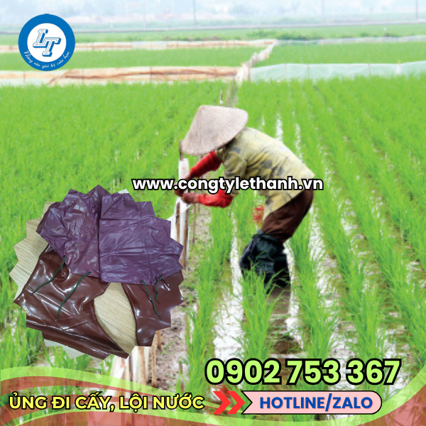 Ủng chuyên dùng đi lội ruộng làm lúa Ủng chuyên dùng đi lội ruộng làm lúa