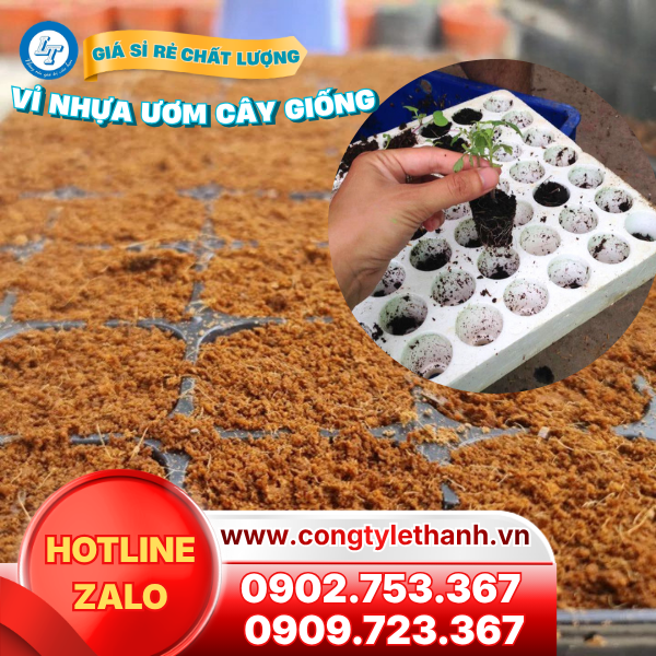 Vỉ nhựa ươm cây giống, hạt giống giá sỉ Vỉ nhựa ươm cây giống, hạt giống giá sỉ