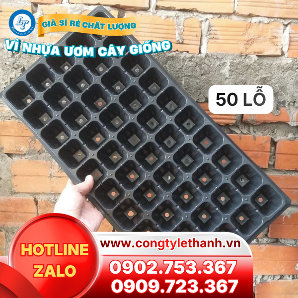 Vỉ nhựa ươm cây giống, hạt giống giá sỉ Vỉ nhựa ươm cây giống lỗ vuông