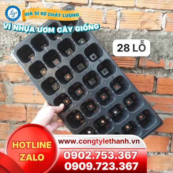 Vỉ nhựa ươm cây giống, hạt giống giá sỉ Vỉ nhựa ươm cây giống, hạt giống giá sỉ