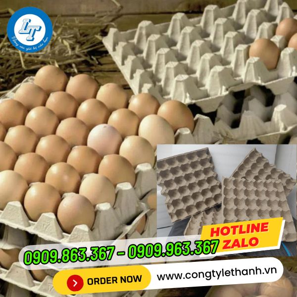 BÁN SỈ VỈ TRỨNG GIẤY MALAYSIA GIÁ RẺ, GIAO TẬN NƠI vỉ trứng giấy
