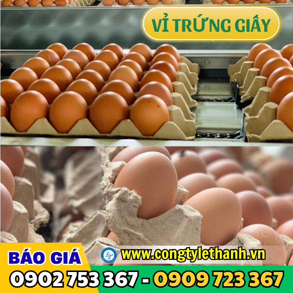 Vỉ trứng giấy gà, vịt Vỉ trứng giấy gà, vịt