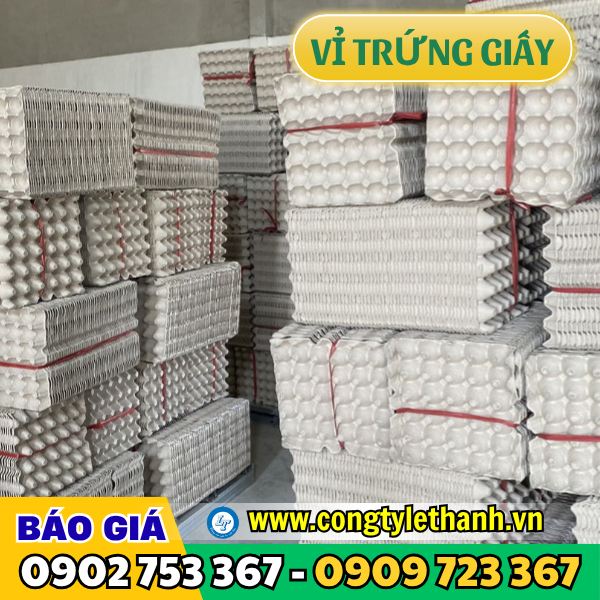 Vỉ trứng giấy sẵn ngay kho Vỉ trứng giấy sẵn ngay kho