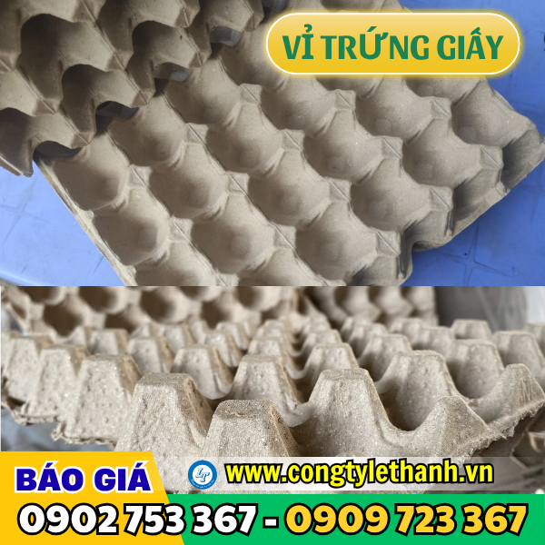 Vỉ trứng giấy có các rãnh khe cố định trứng Vỉ trứng giấy có các rãnh khe cố định trứng