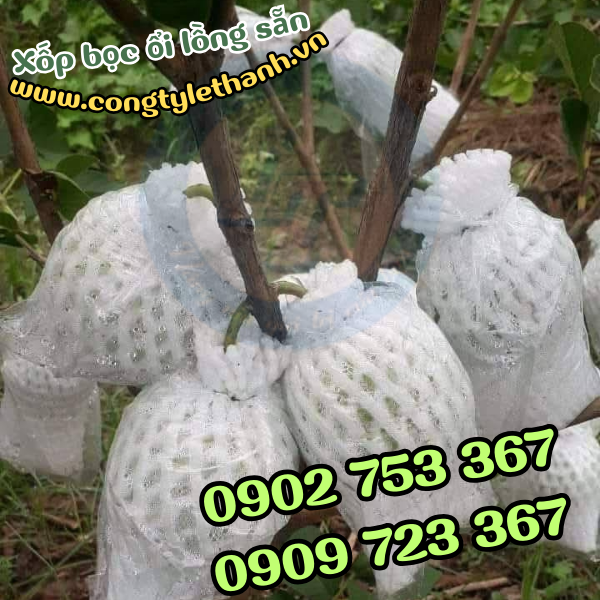 NGUỒN BÁN SỈ XỐP BỌC ỔI LỒNG SẴN UY TÍN, GIÁ RẺ NGUỒN BÁN SỈ XỐP BỌC ỔI LỒNG SẴN UY TÍN, GIÁ RẺ