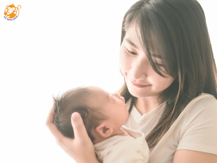 yến sào yến sào