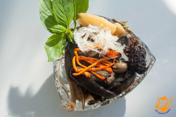 Yến sào tốt cho người bệnh Yến sào tốt cho người bệnh