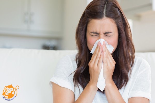 Công dụng của yến sào đối với người bệnh Công dụng của yến sào đối với người bệnh