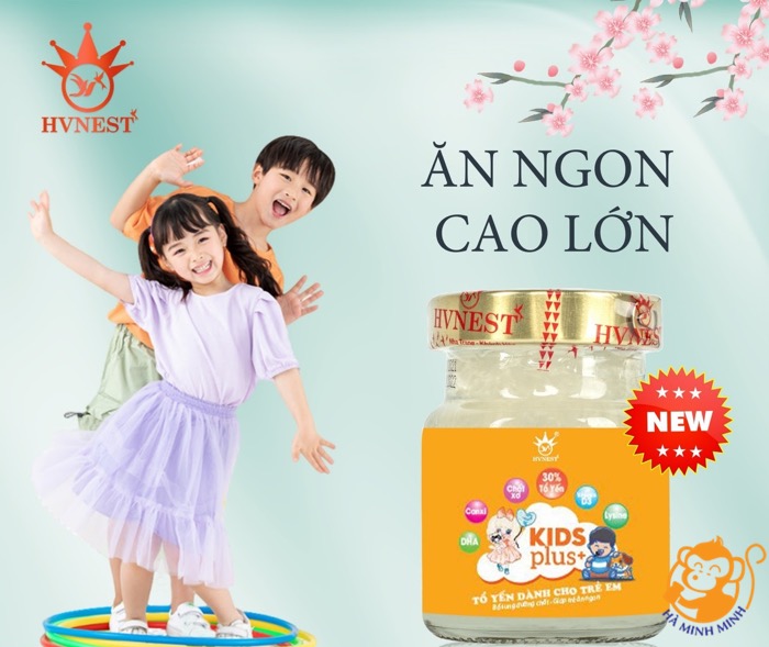 Yến sào Yến sào