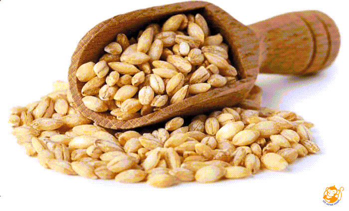 ngũ cốc ngũ cốc