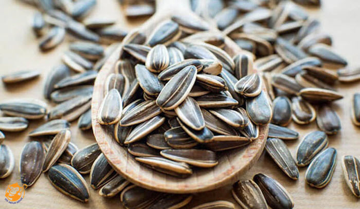 ngũ cốc ngũ cốc