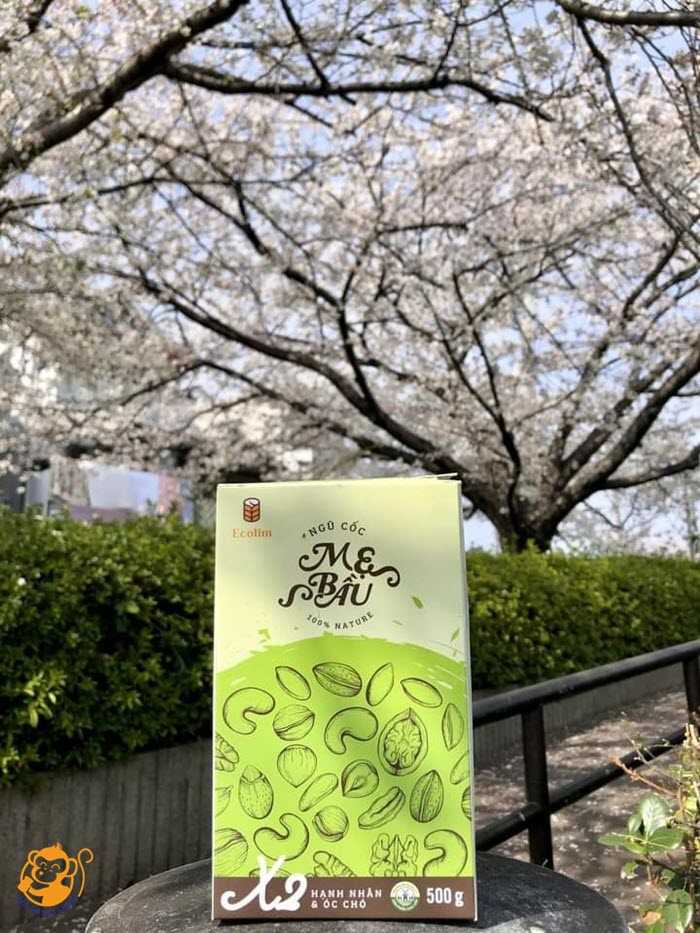 ngũ cốc giảm cân lợi sữa ngũ cốc giảm cân lợi sữa