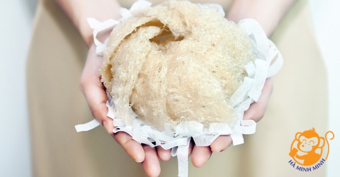 yến sào yến sào