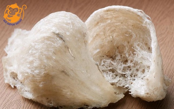 yến sào yến sào