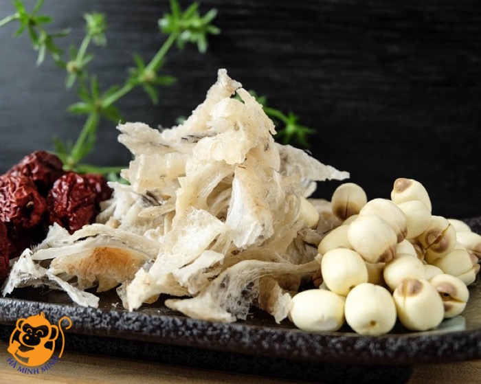 yến sào yến sào