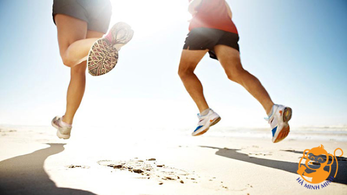 yến sào yến sào