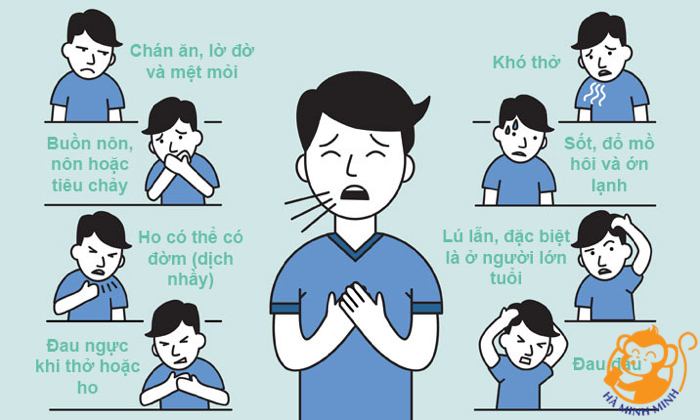 yến sào yến sào