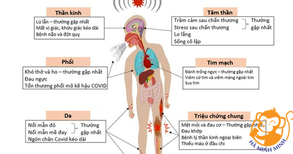 yến sào yến sào