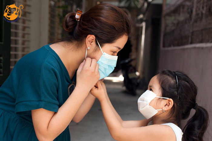 Yến sào Yến sào