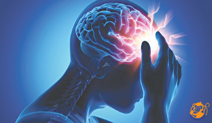 Yến sào Yến sào