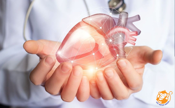 Yến sào Yến sào