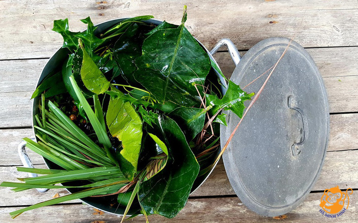 yến sào yến sào