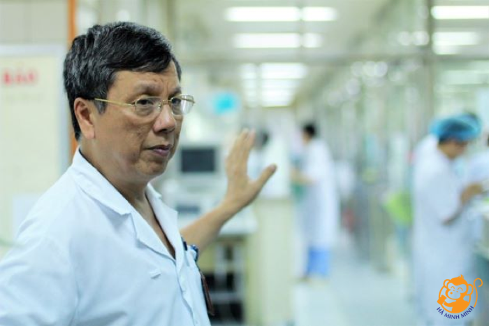 yến sào yến sào